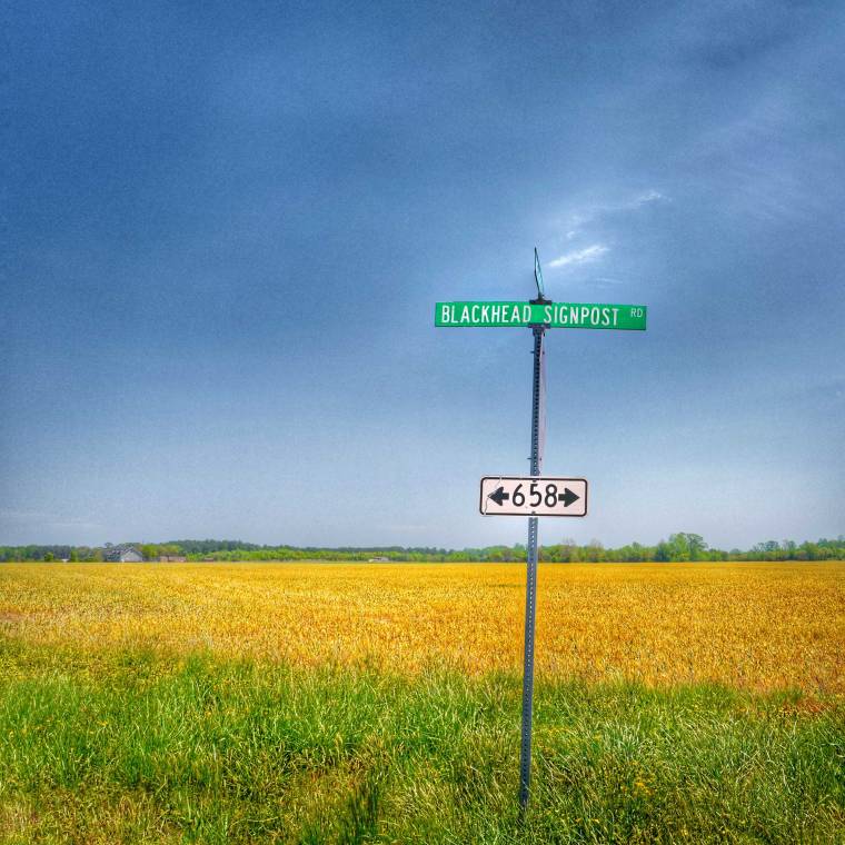 Ruddy Roye: "Everyone"