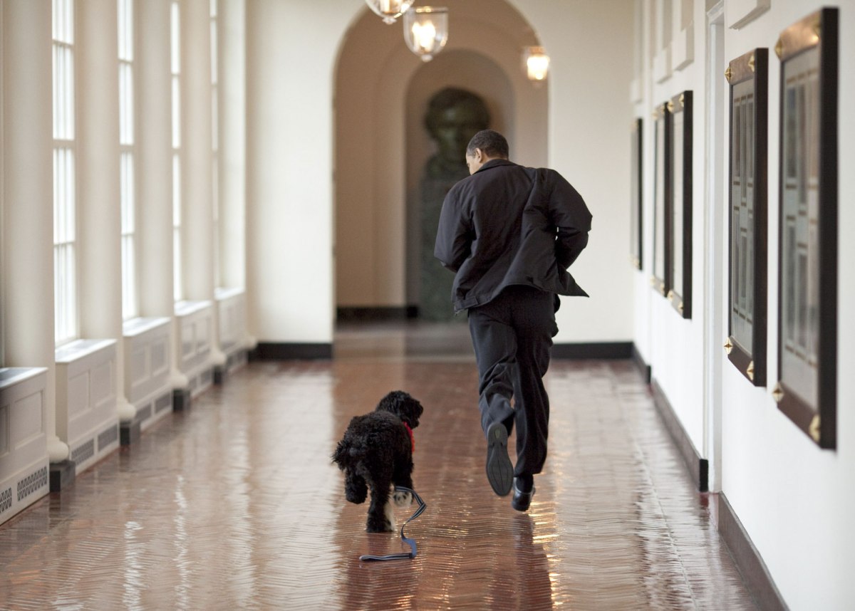 Pete SouzaÃ¢ÂÂthe white house