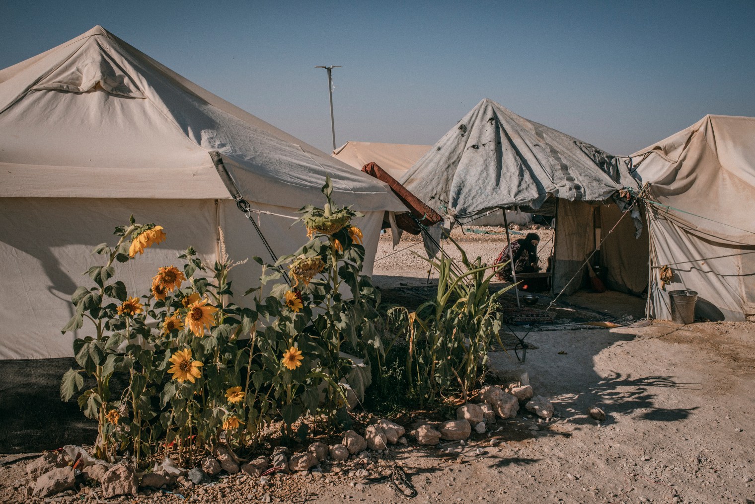 raqqa-syria-isis-caliphate.