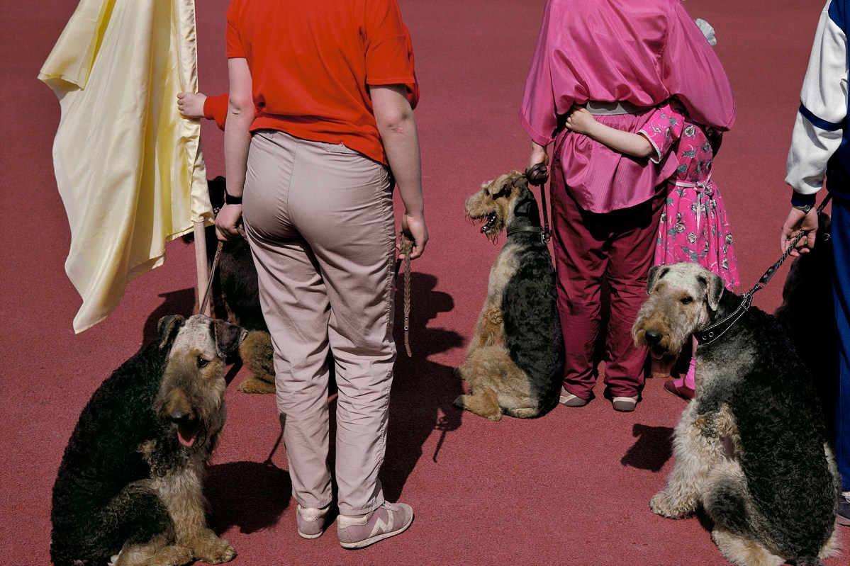 RUSSIA. Moscow. Dog show. 1989.