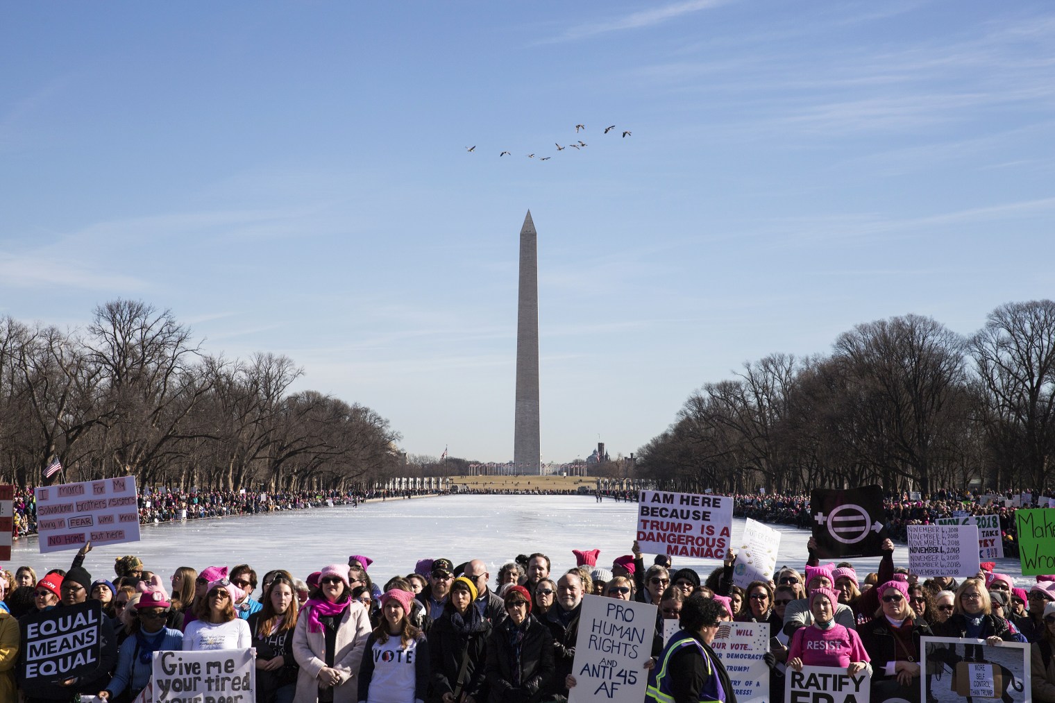 woemns-march-2018-washington-dc-nyc-las-vegas